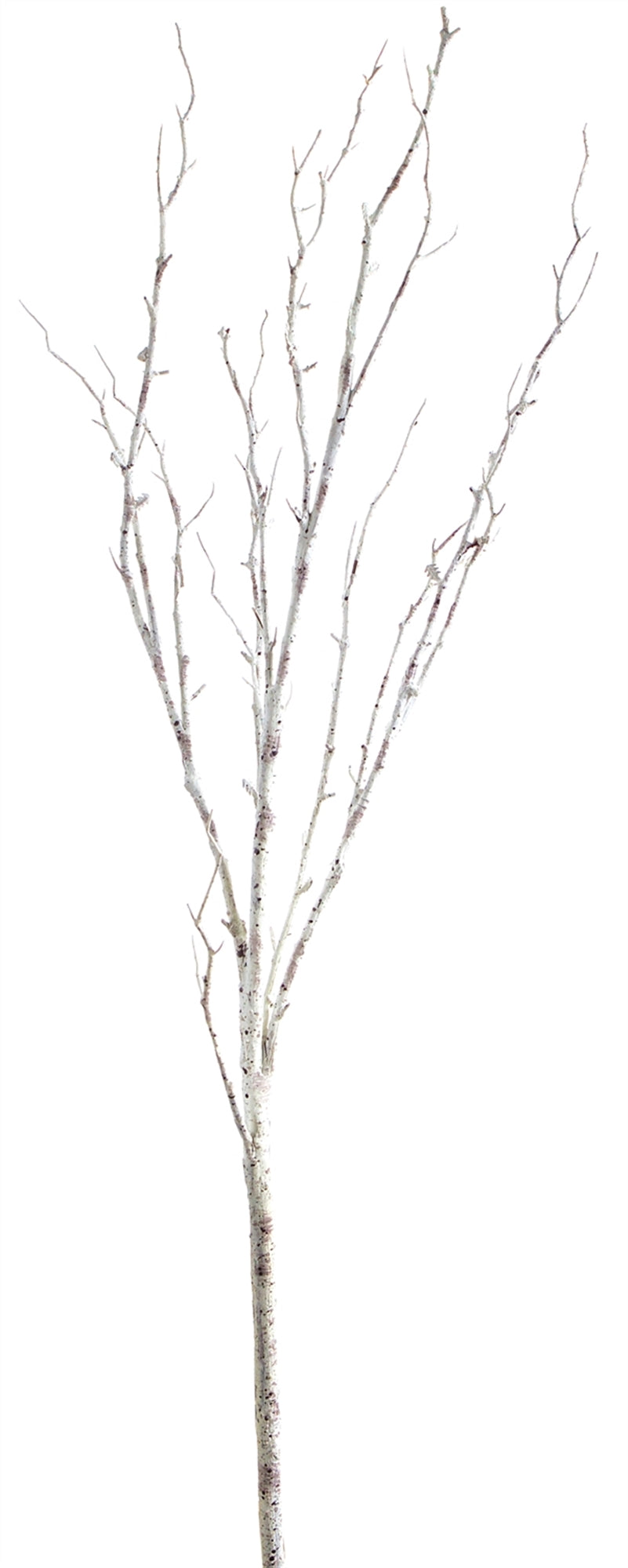 Birch Branch 42"L