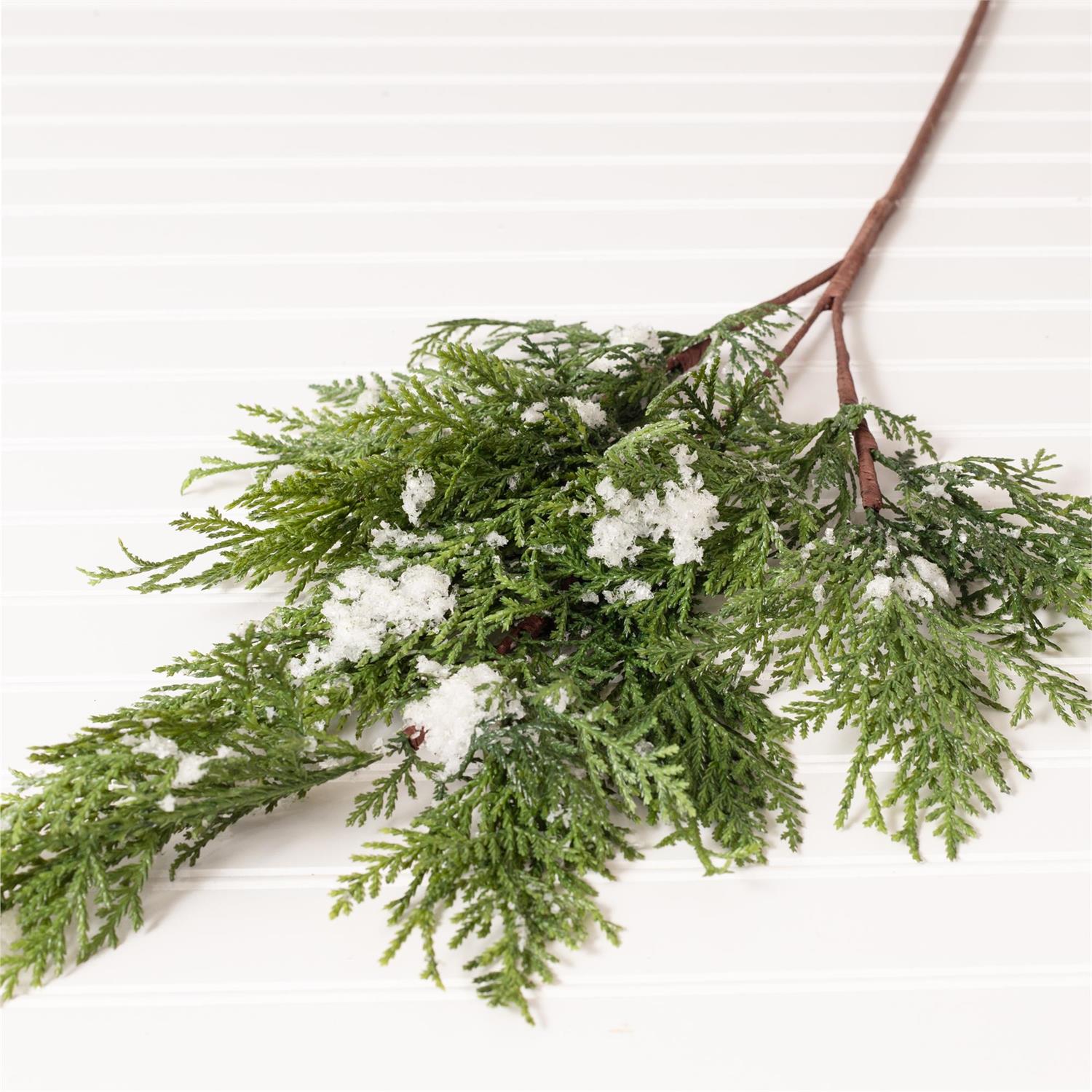 Pine With Snow Spray