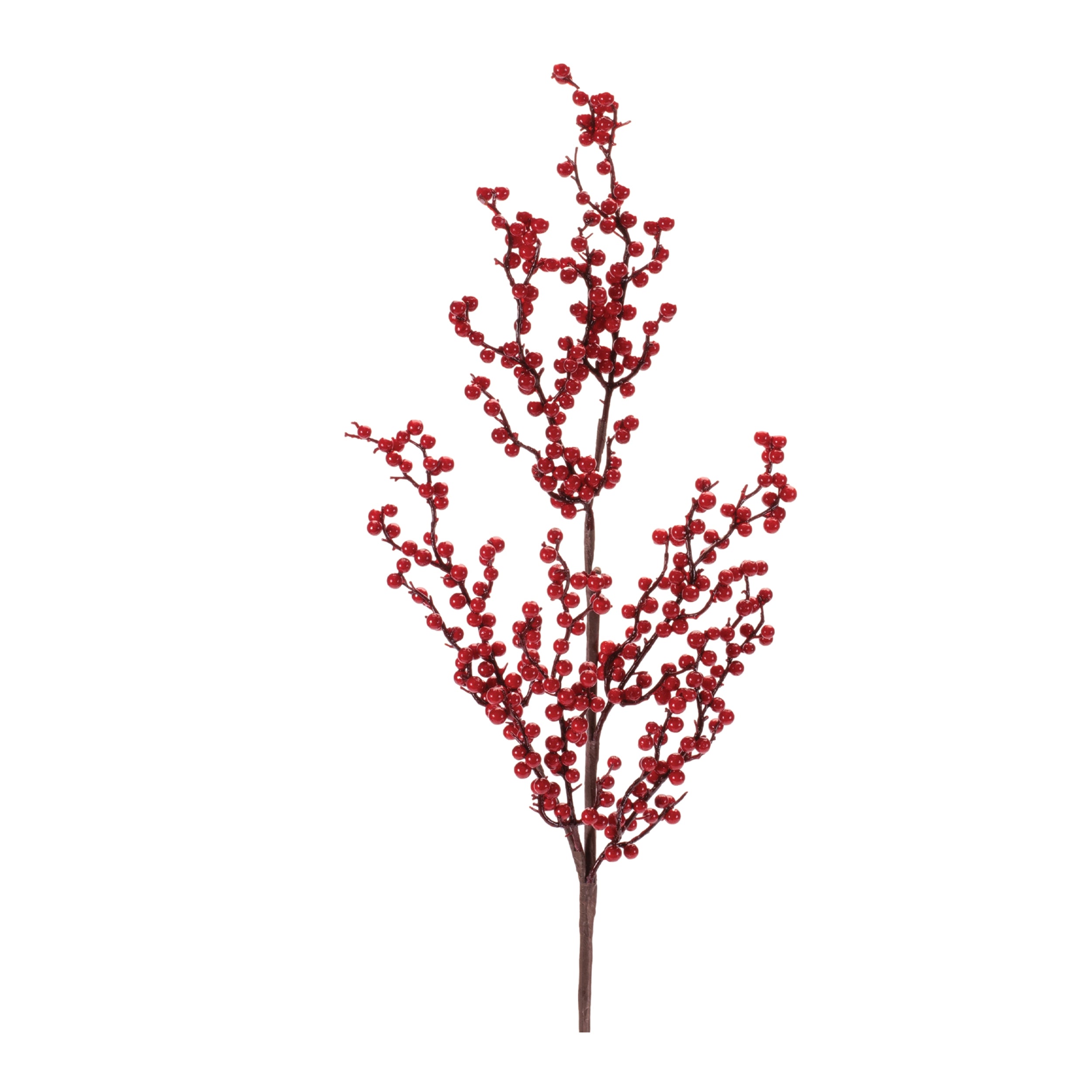 Berry Spray 34”H Foam